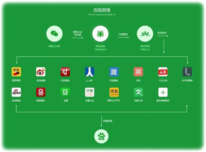 活动策划执行：打造精彩瞬间的艺术
